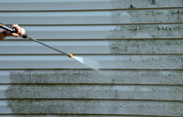 Best Commercial Pressure Washing  in Carpentersvle, IL