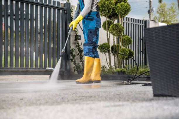 Best Affordable Pressure Washing  in Carpentersvle, IL