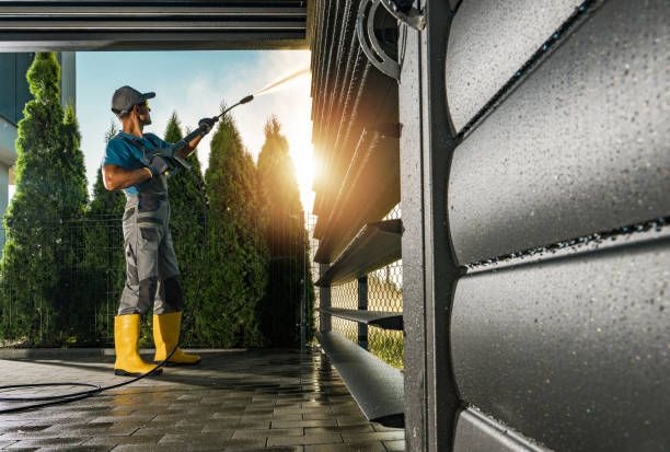 Best Residential Pressure Washing Services  in Carpentersvle, IL
