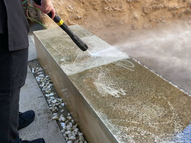 Best Fence Pressure Washing  in Carpentersvle, IL