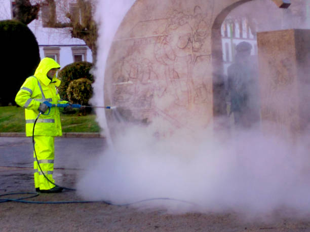 Best Pressure Washing Company Near Me  in Carpentersvle, IL