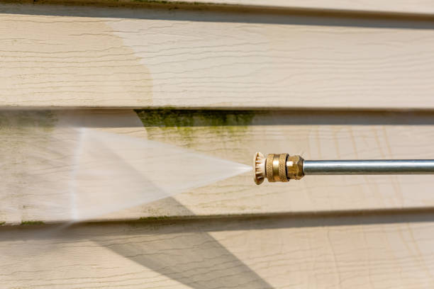 Best Garage Pressure Washing  in Carpentersvle, IL