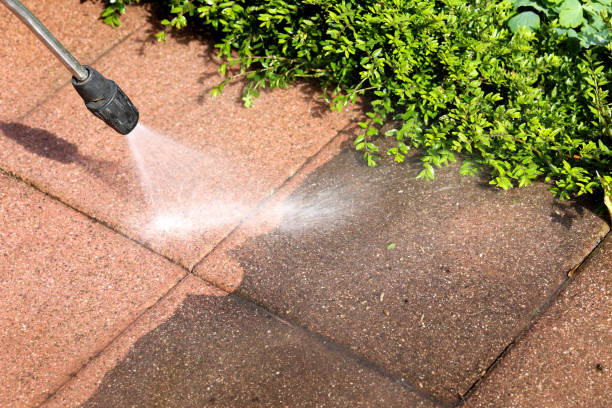 Best Deck Pressure Washing  in Carpentersvle, IL